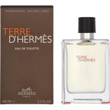 Delixa Hermès Terre D Erkek Parfüm 100ML Edt