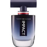 Delixa Hilfiger Edp 100 ml Erkek Parfüm, 5002694195