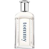 Delixa Hilfiger Edt Erkek Parfüm, 100 ml