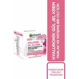 Delixa Hyaluronik Gül Jel Krem Parlak ve Yatışmış Bir Cilt Için Günlük Bakım Kremi (50 Ml) - Standart