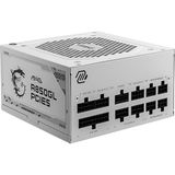 Delixa Msı Mag A850GL Pcıe5 Whıte Bilgisayar Kasası