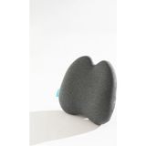 Delixa Ortopedik Visco Lüx Bel Yastığı Ofis Araba Koltuk Yastığı 39X39X11 cm - Standart - Çok Renkli