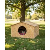 Delixa Reyo Kedi Evi Dış Ortam Uygun Kedi Evi Osb 50X50X35 cm - CAT17 - Standart