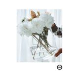 Delizli El Imalati 19 Cm X 20 Cm - Akvaryum El Işciliği Silindir Vazo Cam Ps19