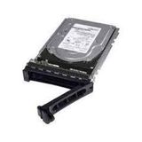 Dell 400-AURS 1 TB 7200 Rpm Sata 6Gbps 512n 3.5 inç Hot Plug Sunucu Harddisk