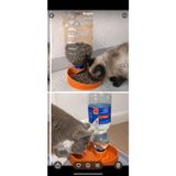 Della Creative Biyoplastik Otomatik Suluklu Mama Kabı – Kedi & Köpek Için - Turuncu