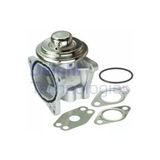 Delphi Eg10421-12B1 Egr Valfi A3 Seataltea.alteaxl.cordoba Ibıza.leon.toledo S Uyumlu