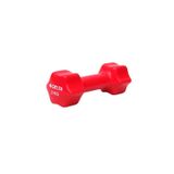 Delta 2 Kg Pvc Dambıl Ağırlık