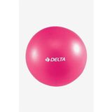 Delta 25 cm Renkli Kutulu Mini Fuşya Pilates Topu Denge Egzersiz Topu