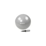 Delta 65 Cm Gümüş Renk Pilates Topu + Pompa Jrs660