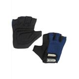 Delta Armour Deluxe Ağırlık Body Dambıl Halter Fitness Eldiveni -SİAYH-MAVİ XL