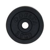 Delta Elite Dura-Strong Siyah 2.5 kg Çiftli Döküm Plaka