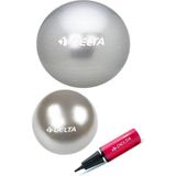Delta Gri Renkli 65 cm Pilates Topu ve 25 cm Mini Denge Topu Pompası Seti ile Denge Sağlama