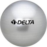 Delta Gümüş 65 cm Dura-Strong Deluxe Pilates Topu Tekil Kullanım Amacı ile Standart Beden