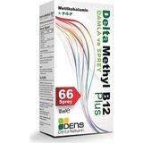 Delta Methyl B12 Plus 66 Sprey 10 Ml