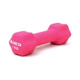 DELTA NEOPREN DEMIR DAMBIL 0.5 KG
