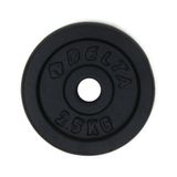 Delta Unisex Dura-Strong Döküm Plaka Çiftli 2,5 Kg X 2 Adet Plaka, Siyah, 5 Kg