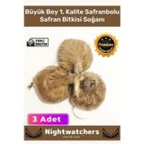 Deluxe Özel Dikime Hazır Yerli Üretim Büyük Boy 1. Kalite Safranbolu Safran Bitkisi Soğanı - 3 Adet