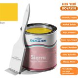 Demarin Her Şeyi Boyayan Sierra Tek Bileşen Fayans, Tezgah, Seramik, Mobilya, Zemin Boyası - 1 Kg