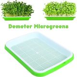Demeter Microgreens Tohum Filizlendirme ve Çimlendirme, Mikro Yeşillik Yetiştirme Tepsisi, Bpa Içermeyen Plastikten - 1 Adet - 31x23x4.5 cm