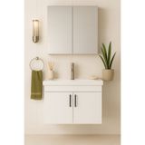 DEMEZLER MOBİLYA Luna 65 cm Beyaz Camlı Üst Modül ve Seramik Lavabolu, MDF Banyo Dolabı Takımı