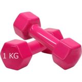 Demir Dambıl 1 kg x 2 Adet Vinyl Kaplı Demir Döküm Dumbell Dambıl Seti 1 Çift Tanesi 1 kg Pembe