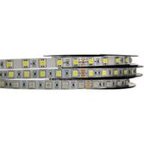 Demir Led 24 Volt 5050 Şerit LED Gün Işığı IP65 (5 Metre)