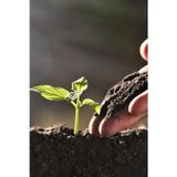 Demirsessound %100 Organik Yıllanmış Ve Doğal Kurutulmuş Sağlıklı Bitki Gübresi (300gr-koyun Gübresi)