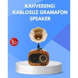 Demrion Retro Tasarımlı Mini Bluetooth Hoparlör ve Fm Radyo Çoklu Medya - Çok Renkli