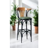 DENGEMA Bar Sandalyesi Özel Üretim Yeşil-Kahve-T169/75 (Oturma Yüksekliği 75cm) Metal İskelet, Ahşap Kolçak