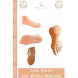 Denguva #MaketAyak Profesyonel Medikal Plastik Anatomik Refleksoloji 20Cm Ayak Maketi Akupunktur Noktası
