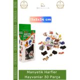 Denguva #MıknatıslıFigür Eğitici Mıknatıslı Oyuncak Figür Buzdolabı Magneti Zeka Manyetik Hayvanlar 30 Parça