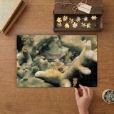 Deniz Altı Bitkileri- Sualtı Canlıları Tasarımı 240 Parça Ahşap Puzzle Ahşap Kutuda MP00248