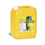Deniz Citrus Air Freshner Oda Kokusu 5 L