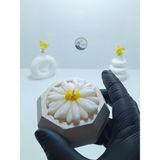 Deniz Kuzey Design Özel Tasarım Papatya Figürlü Karamel Latte Kokulu Mum - Minimalist Taş Tozu Saksı - Beyaz - Kırmızı - 1