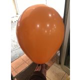 Deniz Party Store KARAMEL LATEX BALON 10 ADET 12 İNÇ