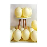 Deniz Party Store-Makaron Balon 12" Inç 25 Adet Sarı Renk