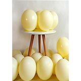 Deniz Party Store-Makaron Balon 12" inç SARI Renk 10 Adet
