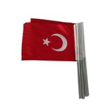 Denizli Bayrak Türk Bayrağı Sopalı 30x45 Kumaş (30 Lu)