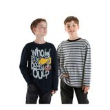 Denokids Erkek Çocuk 2'li Paket T-shirt