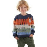 Denokids Hayvanlar Erkek Çocuk Kazak