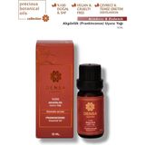 Densa Essential Akgünlük Uçucu Yağı %100 Saf & Doğal 10 ml - Arındırıcı Aromaterapi Difüzör Buhurdanlık Masaj Uyumlu