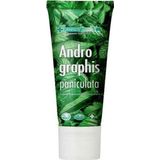 Dentiste Andrographis Paniculata 40 gr Diş Macunu