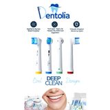 Dentolia Braun ve Oral-B Uyumlu Şarjlı Diş Fırçası Yedek Başlık 4'lü Paket