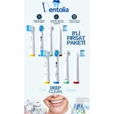 Dentolia Oral-B Uyumlu Diş Fırçası Yedek Başlığı 8 Adet Orta Sertlikte Ağız Bakım Seti