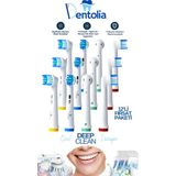 Dentolia Oral-B ve Braun Uyumlu Şarjlı Diş Fırçası Yedek Başlık 12'li Paket Orta Sertlikte Fırça Kılı ile Uyumlu