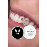 DENTYCRYSTAL Diş Pırlantası Kelebek AB Desenli (Avusturya Kristallerinden Oluşturulmuş Özel Set )