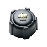 Depar CLIO MEGANE DACIA GENLEŞME KAVANOZ KAPAĞI 8200048024