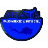 Depo Tabela Reklam Dalış Yazılı Görsel Tabela 3D LED Neon Işıklı Kutu Harf Tabela Pleksiglass