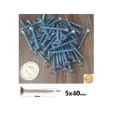 Depolife 5x40 mm Sunta Vidası Burgulu Yıldız Başlı Ahşap Vidası Seti 50 Adet